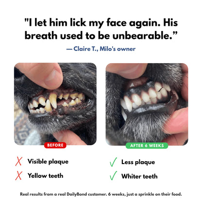 DailyBond Dog Dental Powder