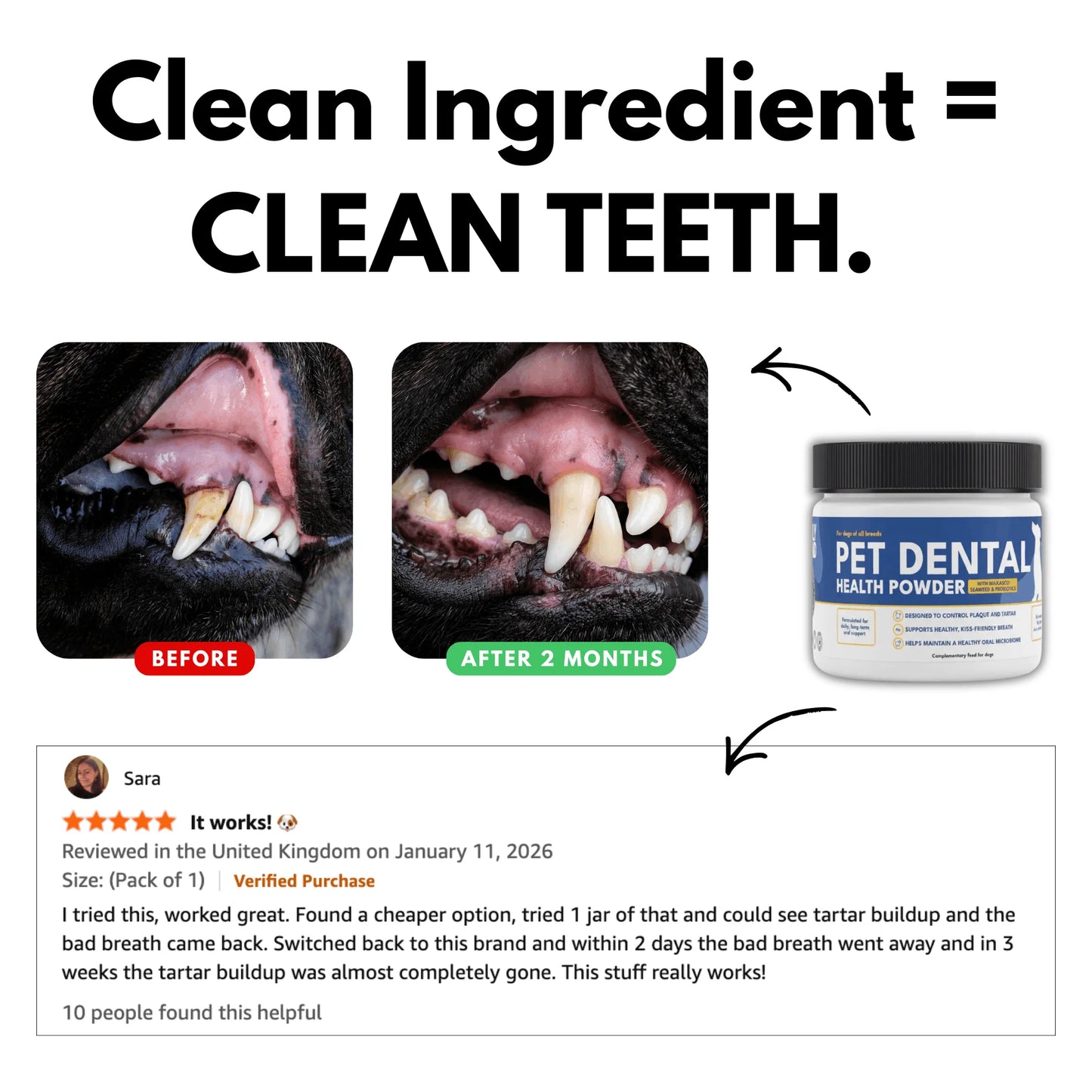 DailyBond Dog Dental Powder